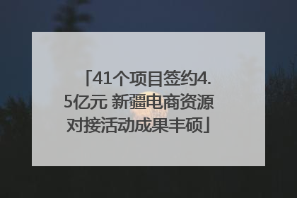 41个项目签约4.5亿元 新疆电商资源对接活动成果丰硕
